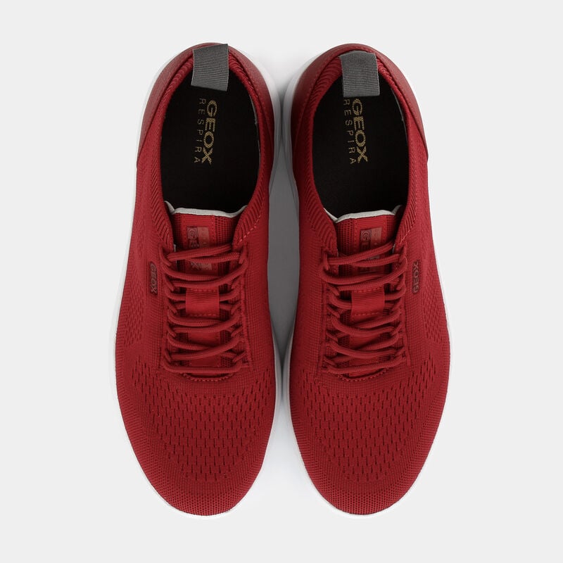 SCARPE da UOMO | SNEAKERS GEOX