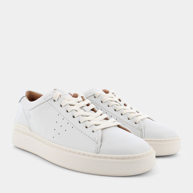 SCARPE da UOMO | SNEAKERS CLARKS
