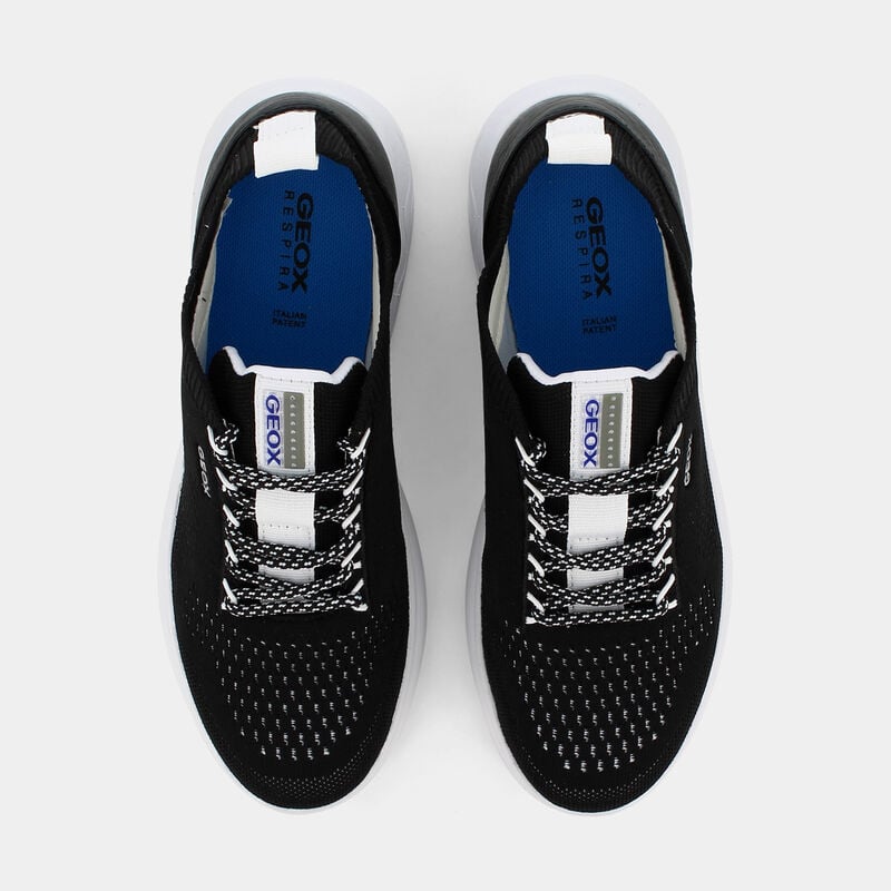 SCARPE da DONNA | SNEAKERS GEOX