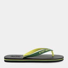 swatch VERDE