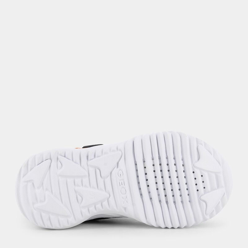 BAMBINO da BAMBINI | SPORTIVE GEOX