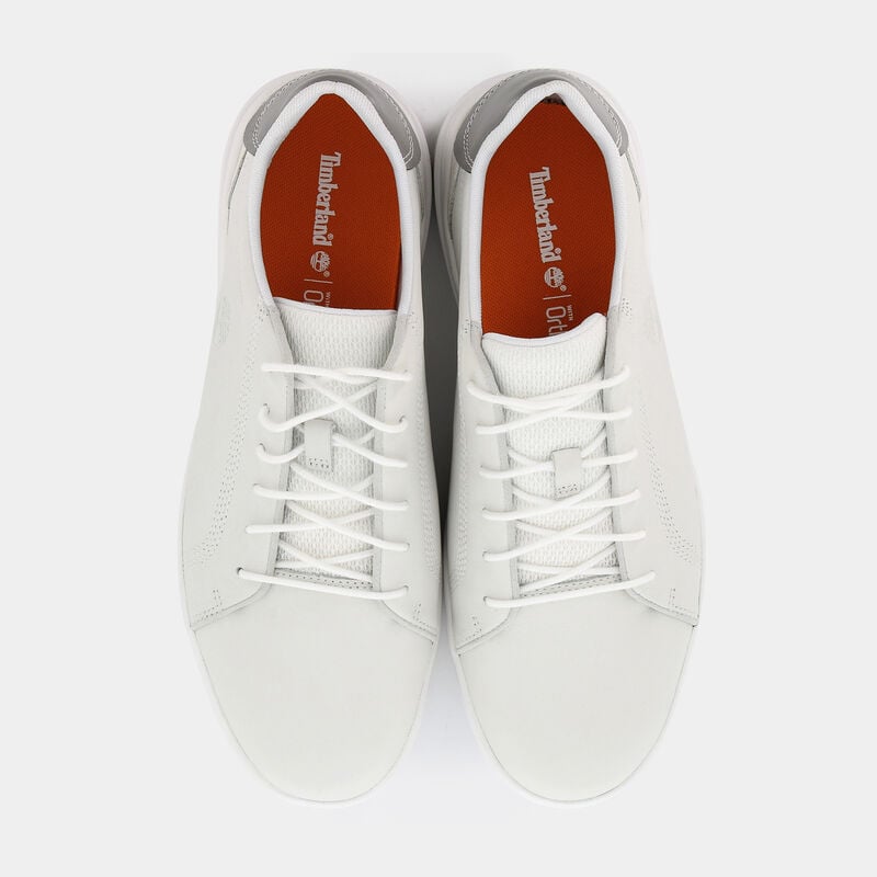 SCARPE da UOMO | SNEAKERS TIMBERLAND