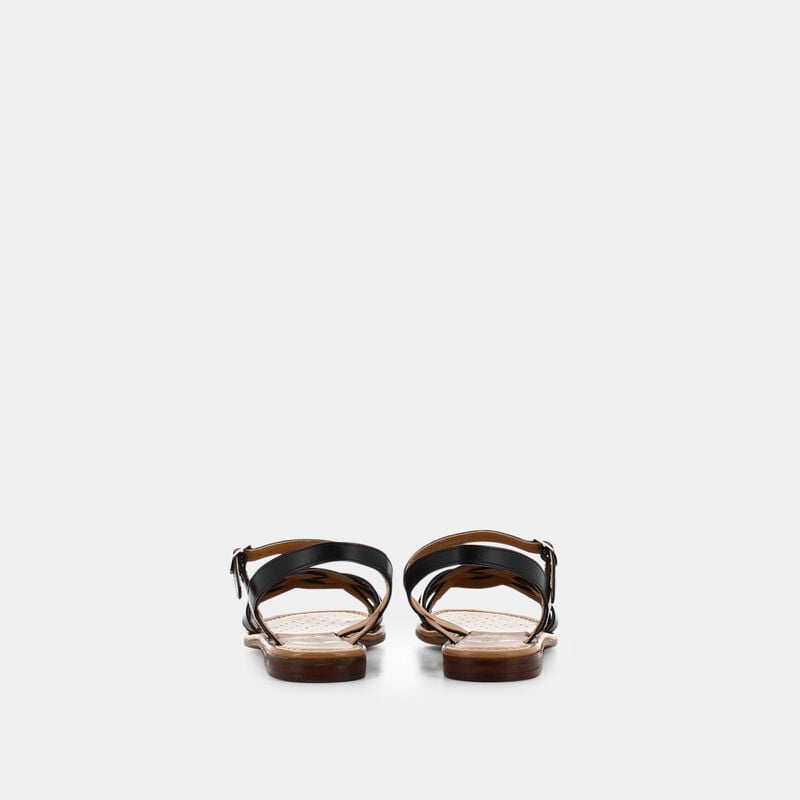 SCARPE da DONNA | SANDALI GEOX