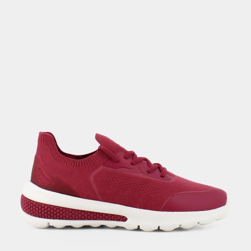 SCARPE da DONNA | SNEAKERS GEOX