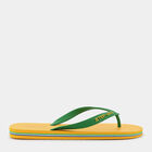 swatch GIALLO