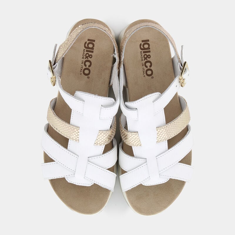 SCARPE da DONNA | SANDALI IGI & CO.