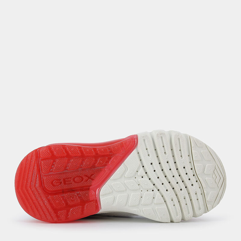 BAMBINO da BAMBINI | SPORTIVE GEOX