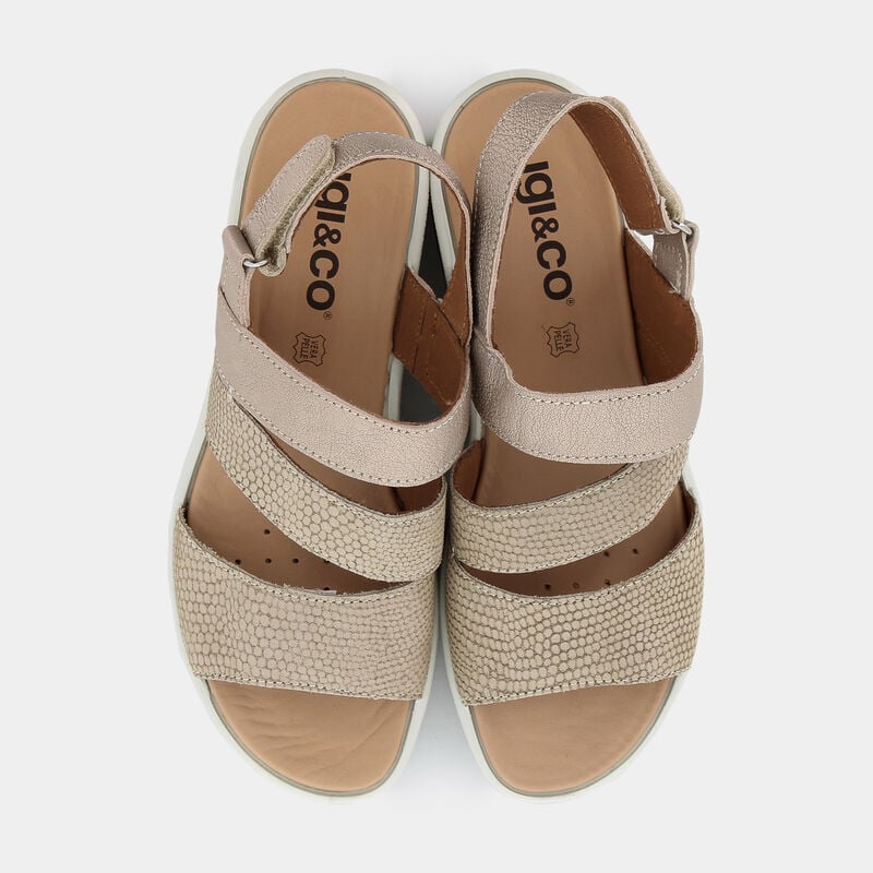 SCARPE da DONNA | SANDALI IGI & CO.