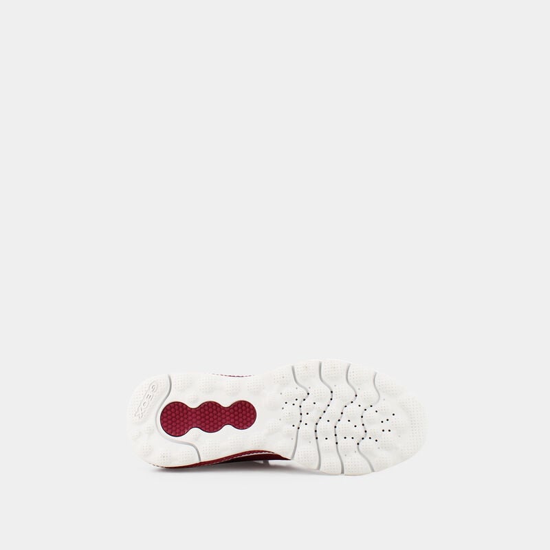 SCARPE da DONNA | SNEAKERS GEOX