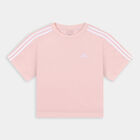 swatch ROSA