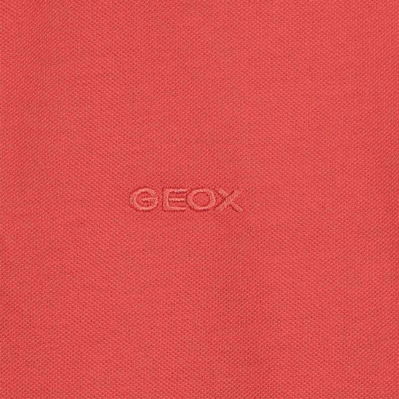 ABBIGLIAMENTO da UOMO | T GEOX