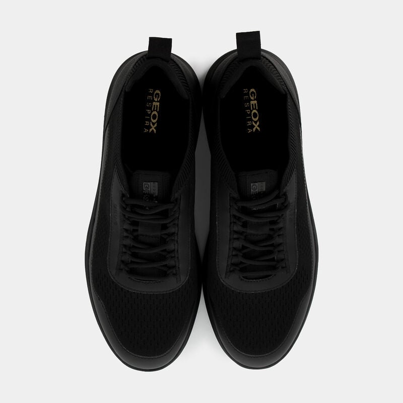 SCARPE da UOMO | SNEAKERS GEOX