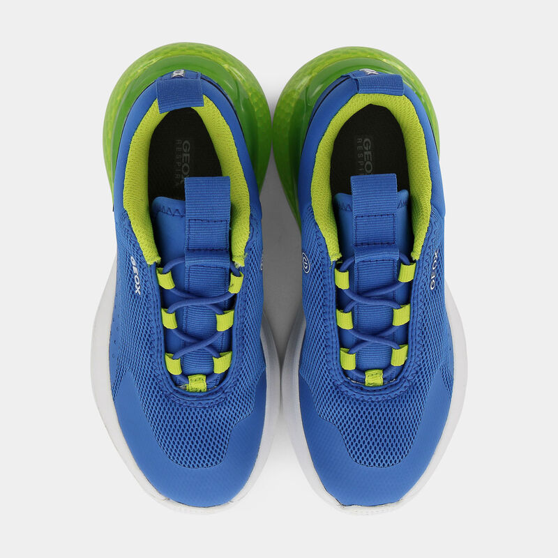 BAMBINO da BAMBINI | SPORTIVE GEOX