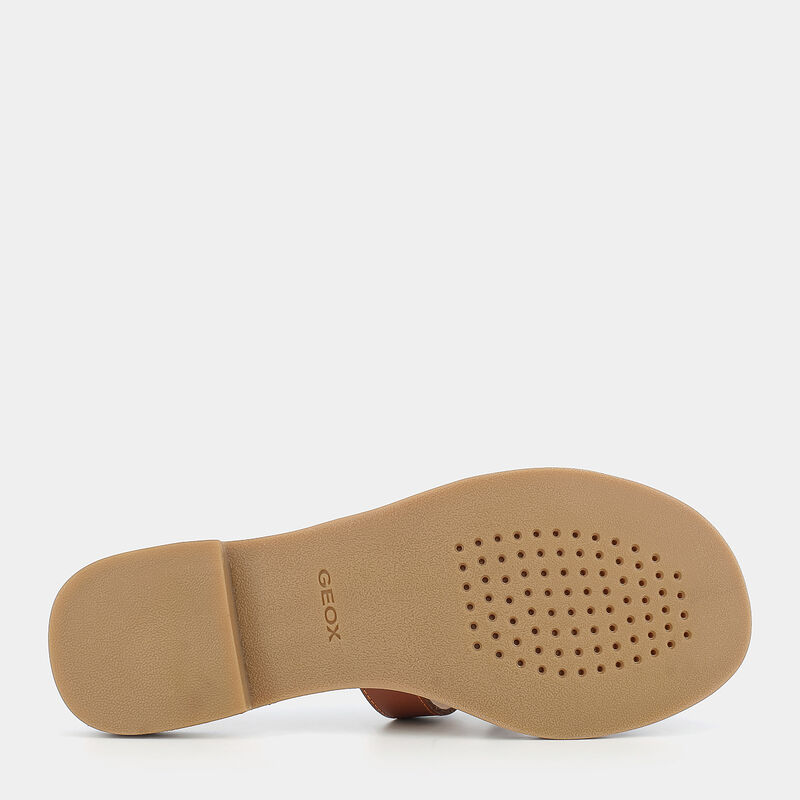 SCARPE da DONNA | SANDALI GEOX
