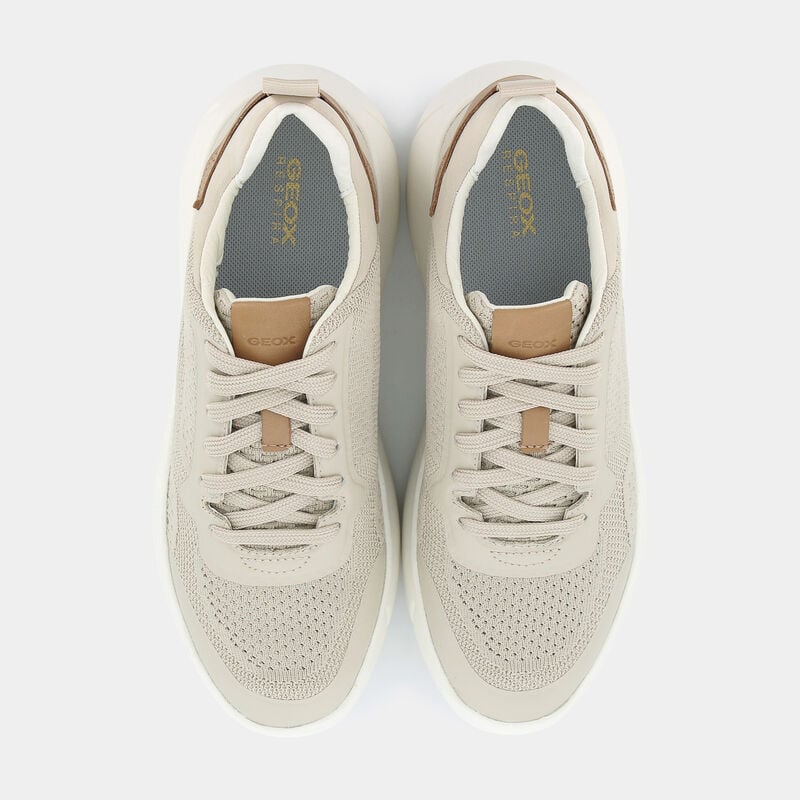 SCARPE da DONNA | SNEAKERS GEOX