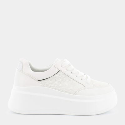 SCARPE da DONNA | SNEAKERS SHEEN
