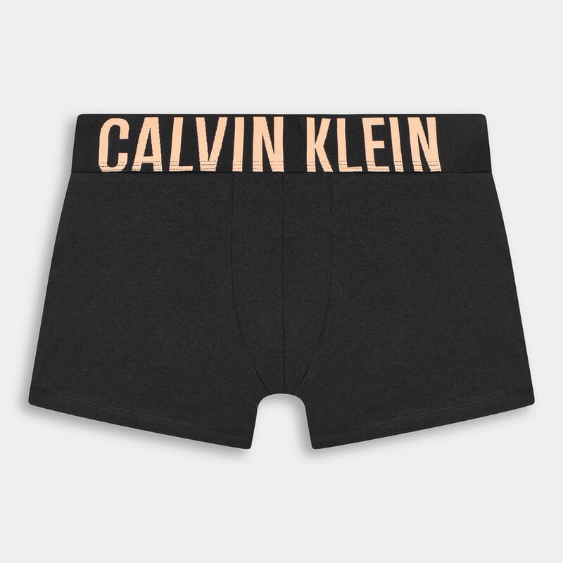 ABBIGLIAMENTO da UOMO | INTIMO CALVIN KLEIN