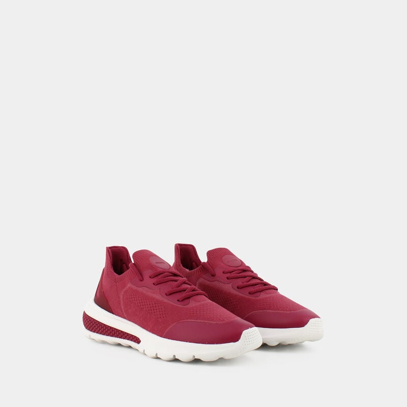 SCARPE da DONNA | SNEAKERS GEOX