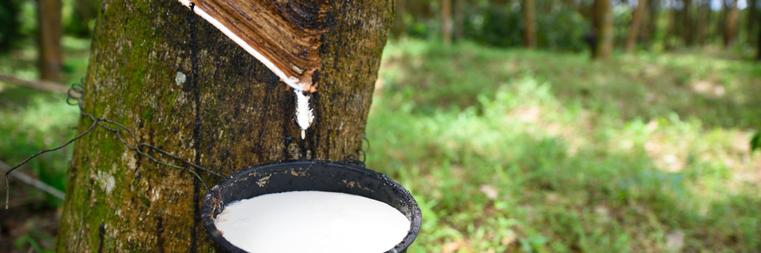 I materiali naturali: la gomma